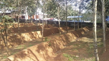  Agricultural Land for Sale in Kulathupuzha, Kollam