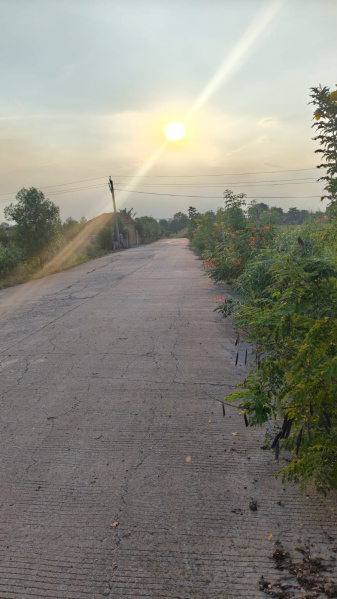 1 RK 11000 Sq.ft. Farm House for Sale in Neelbad, Bhopal