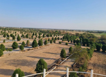  Residential Plot for Sale in Thummaloor, Hyderabad