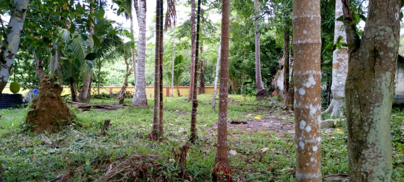  1 Acre Residential Plot for Sale in Diglipur, Andaman