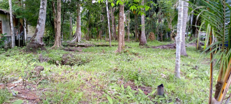  1 Acre Residential Plot for Sale in Diglipur, Andaman