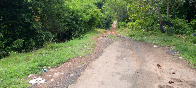  2 Acre Residential Plot for Sale in Diglipur, Andaman