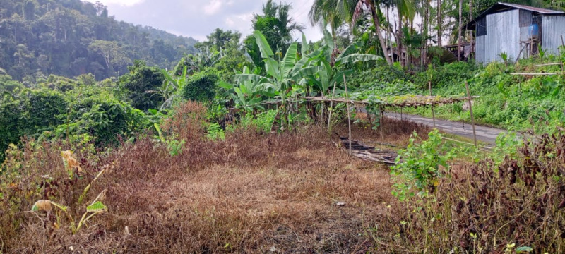  2 Acre Residential Plot for Sale in Diglipur, Andaman