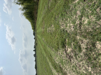 Agricultural Land for Sale in Dabhoi, Vadodara