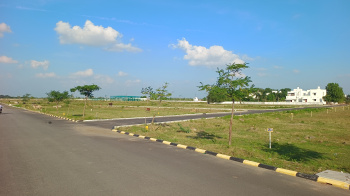  Residential Plot for Sale in Kamarajar Street, Kanchipuram