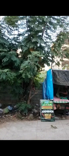  266 Sq. Yards Residential Plot for Sale in Serilingampally, Hyderabad