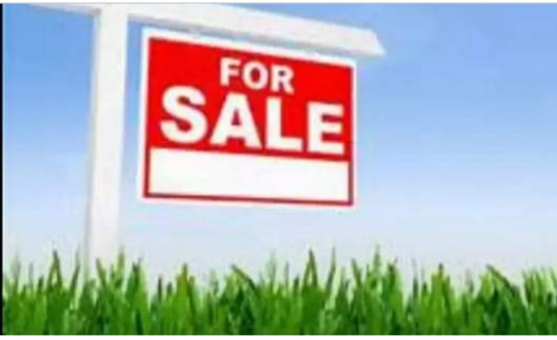  10 Cent Residential Plot for Sale in Payyoli, Kozhikode