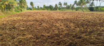  Agricultural Land for Sale in Pavagada, Tumkur