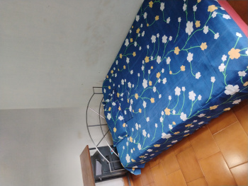 1 BHK Builder Floor for Rent in Kannamkulangara, Thrissur