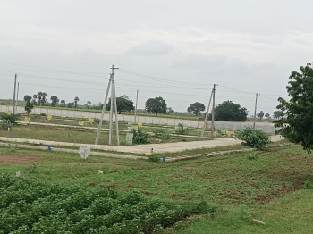 Residential Plot for Sale in Piduguralla, Guntur
