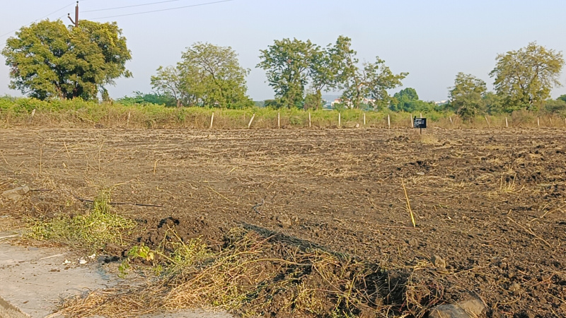  33225 Sq.ft. Agricultural/Farm Land for Sale in Wadi Bk, Nanded