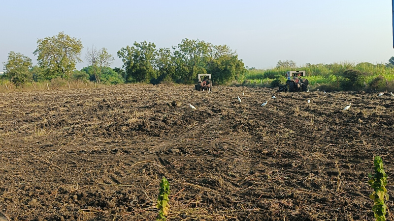  33225 Sq.ft. Agricultural/Farm Land for Sale in Wadi Bk, Nanded