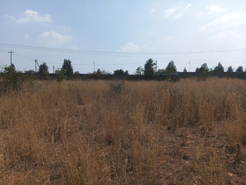  7 Cent Residential Plot for Sale in Press Colony, Coimbatore