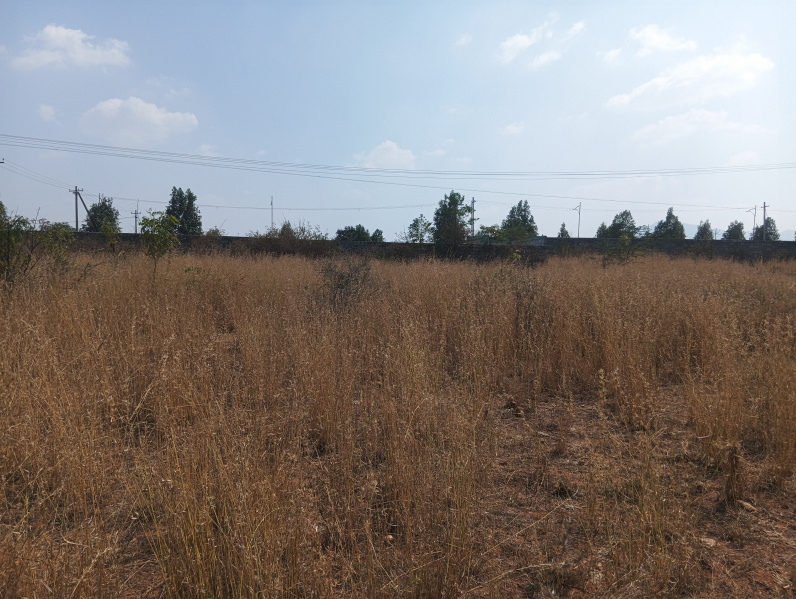  7 Cent Residential Plot for Sale in Press Colony, Coimbatore