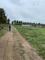  Agricultural Land for Sale in Sulur, Coimbatore