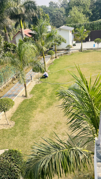 3 BHK 1008 Sq. Yards Farm House for Sale in Sector 135 Noida