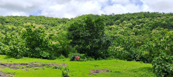  Agricultural Land for Rent in Alibag, Raigad