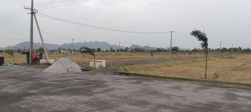  176 Sq. Yards Residential Plot for Sale in Narasaraopet, Guntur