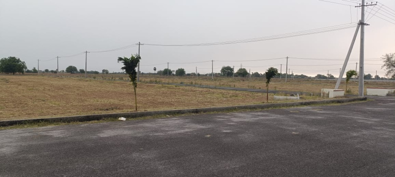  176 Sq. Yards Residential Plot for Sale in Narasaraopet, Guntur