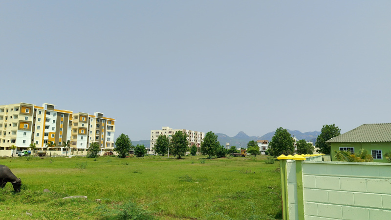 2 BHK 1080 Sq.ft. Apartment for Sale in Chilakaluripet, Guntur