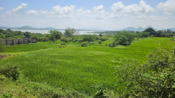  Agricultural Land for Sale in Wadivahre, Nashik