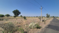  Agricultural Land for Sale in Ahore, Jalor