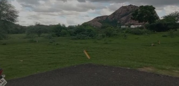  Residential Plot for Sale in Thirunagar, Madurai