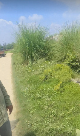  1250 Sq.ft. Residential Plot for Sale in Banthara, Lucknow