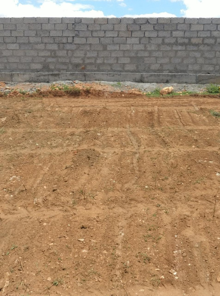  7 Cent Residential Plot for Sale in Press Colony, Coimbatore