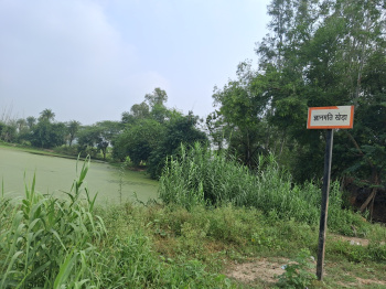  Agricultural Land for Rent in Haidergarh, Barabanki