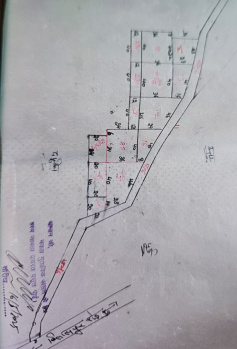  Agricultural Land for Sale in Tauru, Nuh