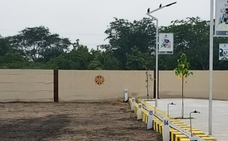  9 Acre Residential Plot for Sale in Peraiyur, Madurai