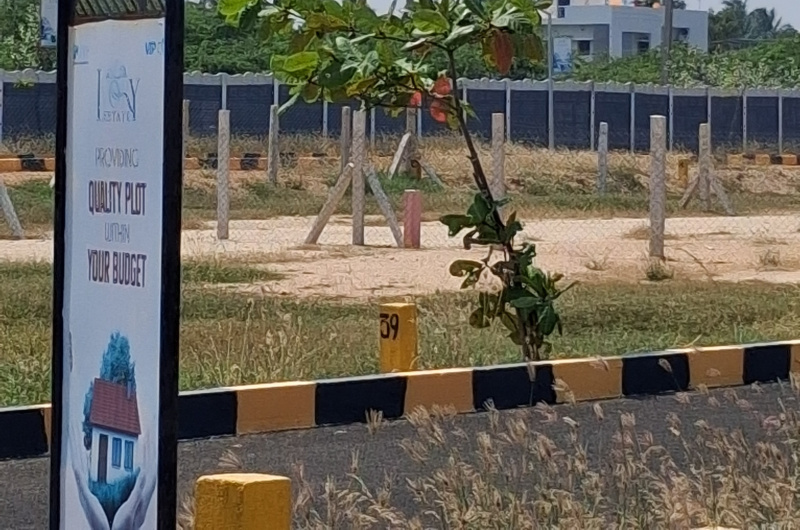 10 Acre Residential Plot for Sale in Thirupuvanam Sivaganga