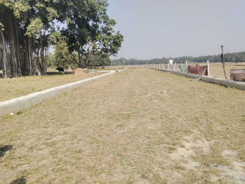  1500 Sq.ft. Residential Plot for Sale in Budheshwar, Lucknow