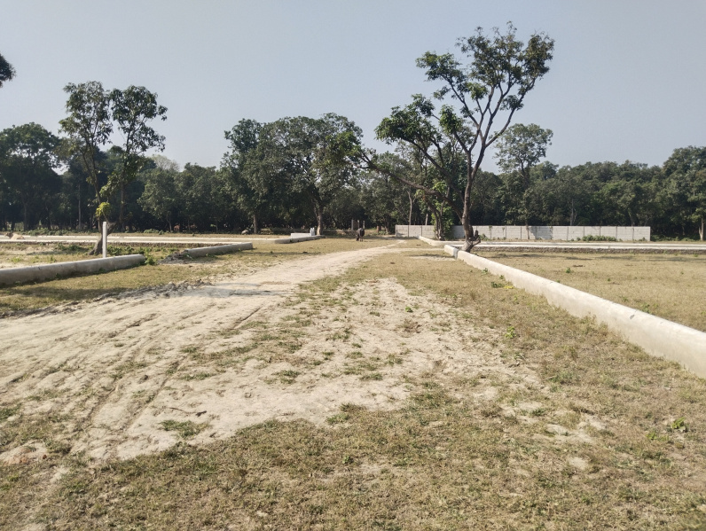  1500 Sq.ft. Residential Plot for Sale in Budheshwar, Lucknow