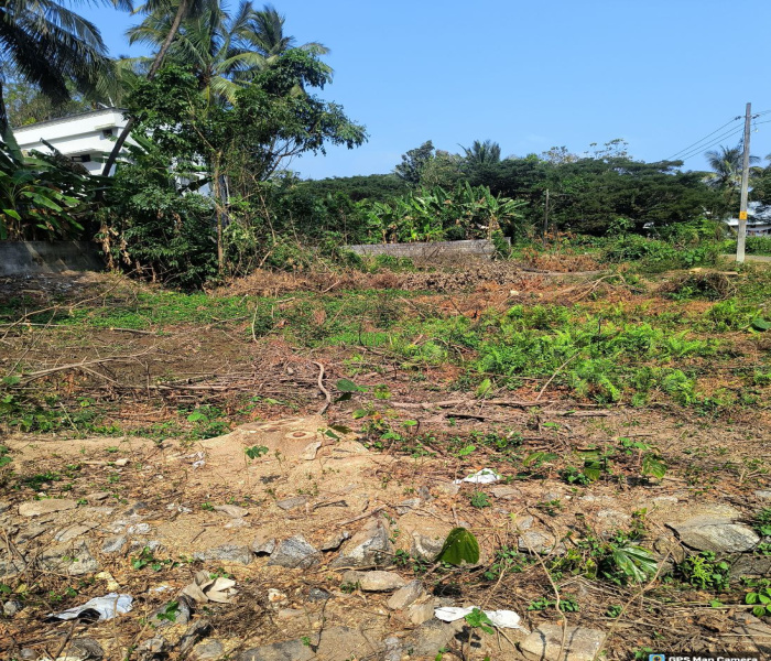  10 Cent Residential Plot for Sale in Olavakkode, Palakkad
