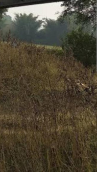  Agricultural Land for Sale in Raila, Bhilwara