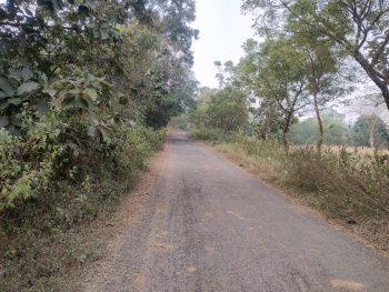  Residential Plot for Sale in Gania, Nayagarh