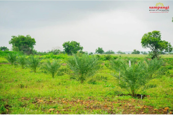 Agricultural Land for Sale in Narayankhed, Sangareddy
