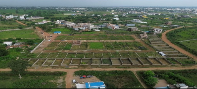  1200 Sq.ft. Residential Plot for Sale in Sarkanda, Bilaspur