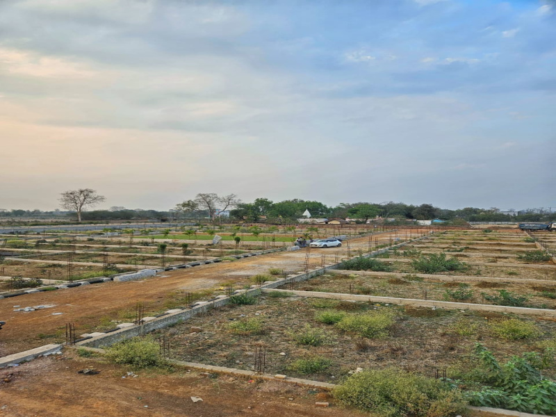  1200 Sq.ft. Residential Plot for Sale in Sarkanda, Bilaspur