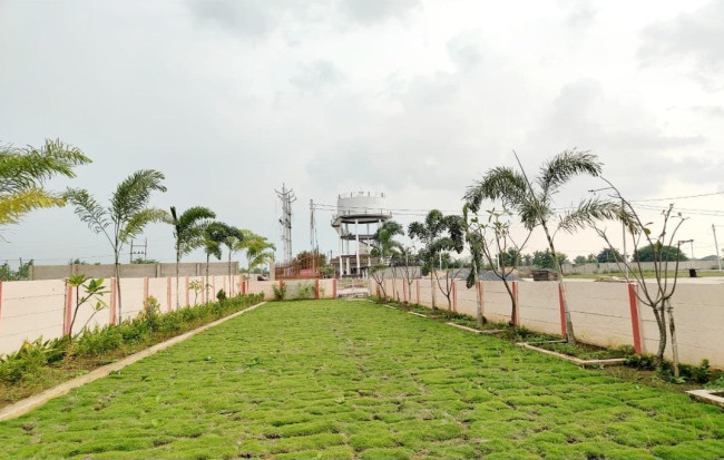  1200 Sq.ft. Residential Plot for Sale in Sakri, Bilaspur