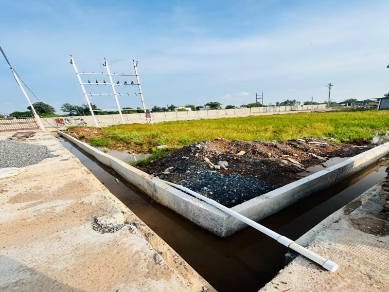  1200 Sq.ft. Residential Plot for Sale in Sakri, Bilaspur