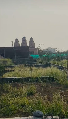  1150 Sq.ft. Commercial Land for Sale in Ashok Nagar, Bilaspur