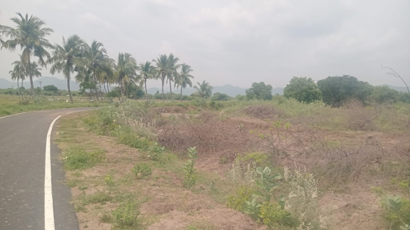  15 Acre Agricultural/Farm Land for Sale in Kunnam, Perambalur