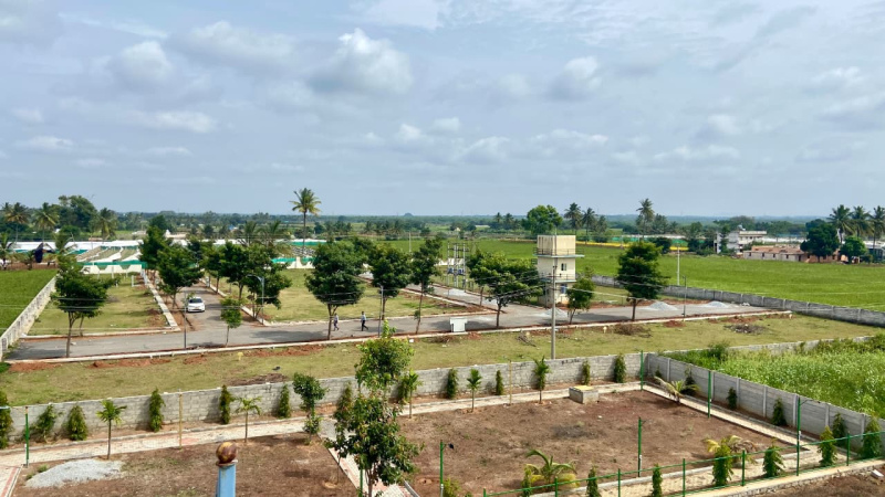  1200 Sq.ft. Residential Plot for Sale in Devanahalli, Bangalore