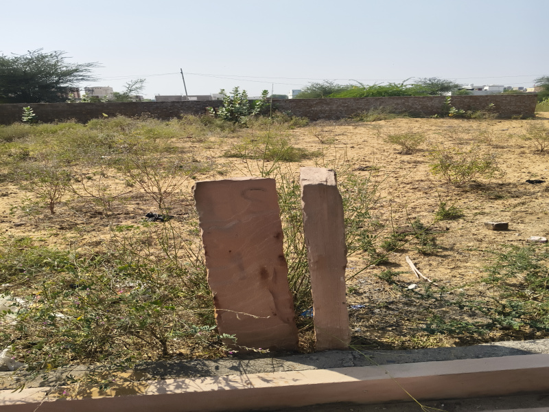  600 Sq.ft. Residential Plot for Sale in Ratangarh Churu