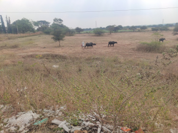 Commercial Land for Sale in Kumbhari, Solapur