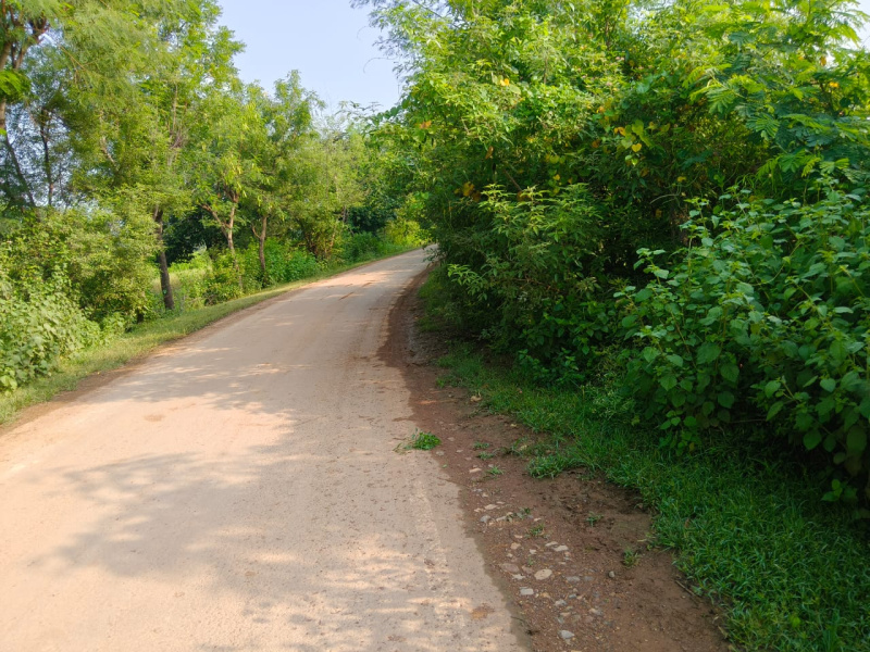  1000 Sq.ft. Residential Plot for Sale in Baikunthpur, Rewa