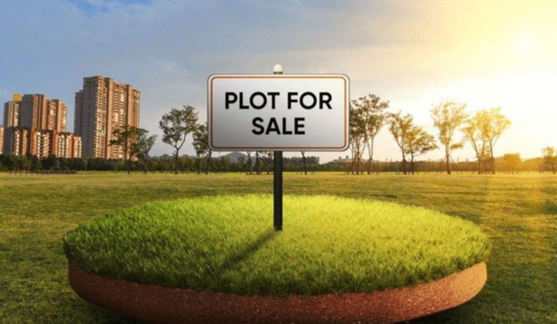  250 Sq. Yards Residential Plot for Sale in Dholera, Ahmedabad